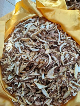 강정희님의 자유주제 · 자유게시판 작성글 사진