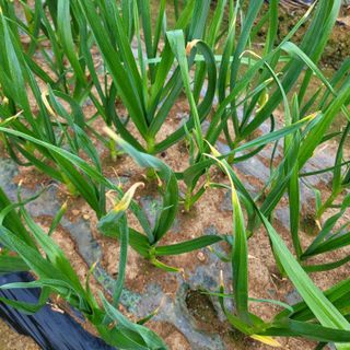 박기식 님의 자유주제 · 자유게시판 작성글 사진