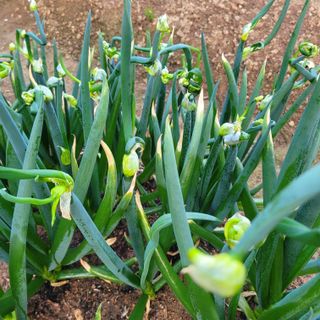 박기식 님의 자유주제 · 자유게시판 작성글 사진