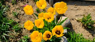 최영희님의 자유주제 · 사진전 작성글 사진