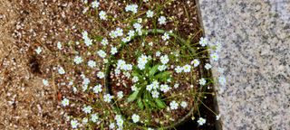 최영희님의 자유주제 · 사진전 작성글 사진