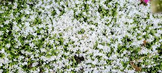 최영희님의 자유주제 · 사진전 작성글 사진