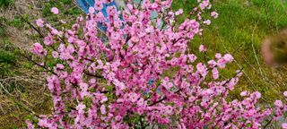 최영희님의 자유주제 · 사진전 작성글 사진