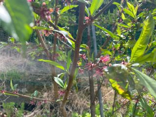 도곡님의 자유주제 · 자유게시판 작성글 사진