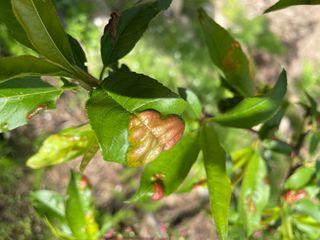도곡님의 자유주제 · 자유게시판 작성글 사진