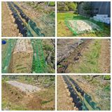 팜모닝 자유주제·자유게시판 게시글 이미지