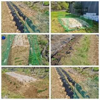 윤근순님의 자유주제 · 자유게시판 작성글 사진