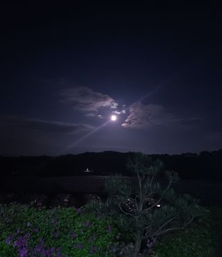 이상준님의 콩 · 영농일지 작성글 사진