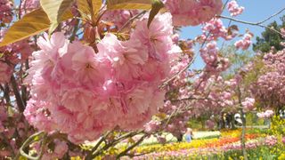 농부아내님의 자유주제 · 자유게시판 작성글 사진