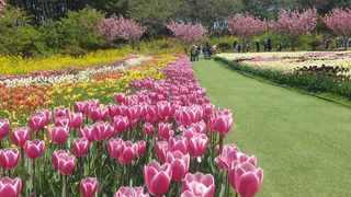 농부아내님의 자유주제 · 자유게시판 작성글 사진