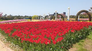 농부아내님의 자유주제 · 자유게시판 작성글 사진