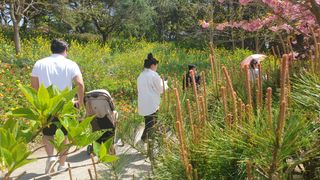 농부아내님의 자유주제 · 자유게시판 작성글 사진