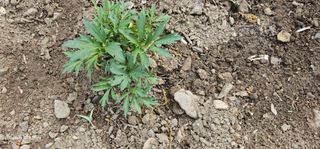 해오름달님의 자유주제 · 자유게시판 작성글 사진