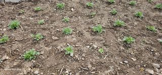 해오름달님의 자유주제 · 자유게시판 작성글 사진