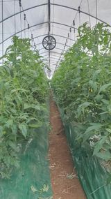 팜모닝 그곳에서 농사하게 된 계기는?·참여글 게시글 이미지