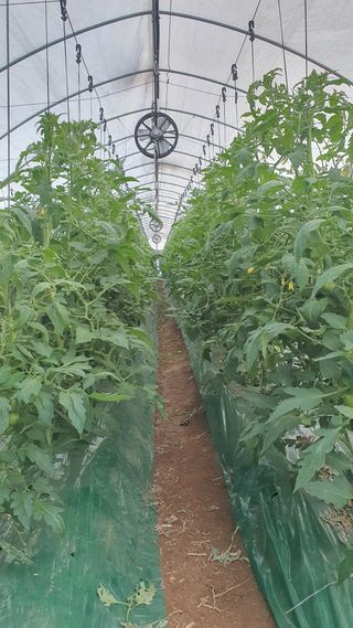 호미자루님의 그곳에서 농사하게 된 계기는? · 참여글 작성글 사진