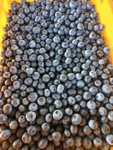 팜모닝 자유주제·자유게시판 게시글 이미지