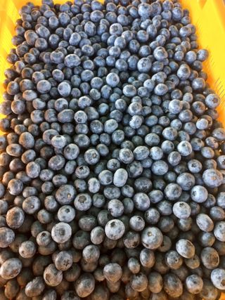 하늘농원님의 자유주제 · 자유게시판 작성글 사진