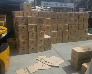 대산농사대장님의 고추 · 품종•종자 작성글 사진