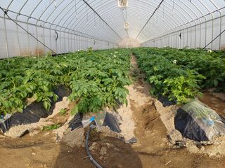 고영호님의 자유주제 · 자유게시판 작성글 사진