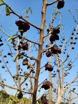 팜모닝 자유주제·자유게시판 게시글 이미지