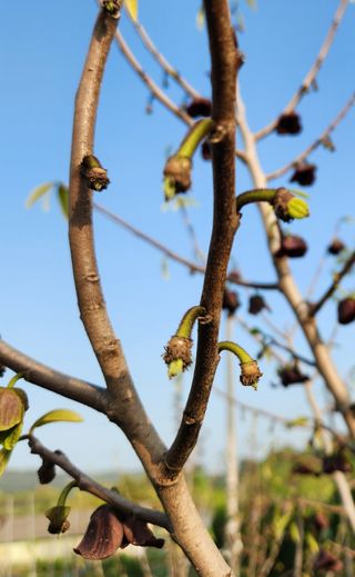 벧엘포포농원님의 자유주제 · 자유게시판 작성글 사진