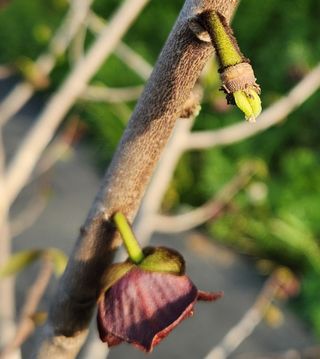 벧엘포포농원님의 자유주제 · 자유게시판 작성글 사진