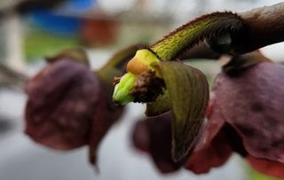 벧엘포포농원님의 자유주제 · 자유게시판 작성글 사진