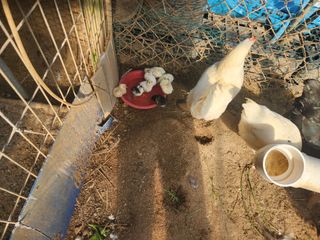 안계천님의 자유주제 · 자유게시판 작성글 사진