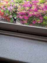 팜모닝 자유주제·자유게시판 게시글 이미지