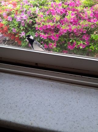 김명기님의 자유주제 · 자유게시판 작성글 사진