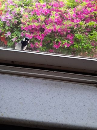 김명기님의 자유주제 · 자유게시판 작성글 사진