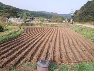홍천.서석.안민기님의 자유주제 · 자유게시판 작성글 사진
