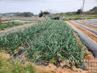 안계천님의 자유주제 · 자유게시판 작성글 사진
