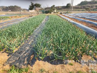 안계천님의 자유주제 · 자유게시판 작성글 사진