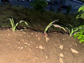 사랑천사님의 자유주제 · 자유게시판 작성글 사진