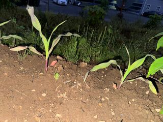 사랑천사님의 자유주제 · 자유게시판 작성글 사진