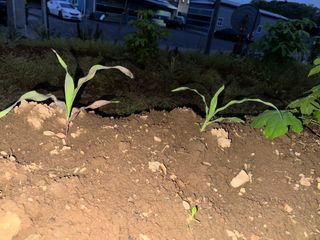 사랑천사님의 자유주제 · 자유게시판 작성글 사진