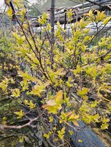 팜모닝 농사, 무엇이든 물어보세요!·참여글 게시글 이미지