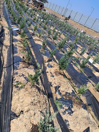 김용갑님의 자유주제 · 칭찬해요 작성글 사진