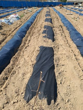 김용갑님의 자유주제 · 칭찬해요 작성글 사진