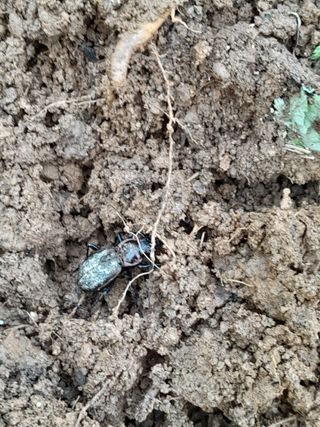 김민수산에서농사중님의 자유주제 · 자유게시판 작성글 사진