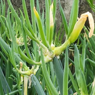 다람쥐님의 자유주제 · 자유게시판 작성글 사진