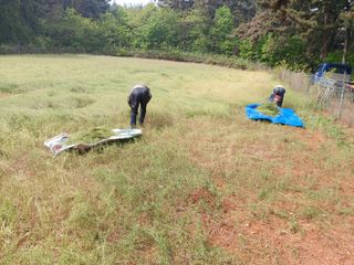 김명복님의 자유주제 · 자유게시판 작성글 사진