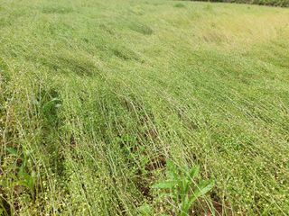 김명복님의 자유주제 · 자유게시판 작성글 사진