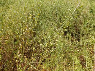 김명복님의 자유주제 · 자유게시판 작성글 사진