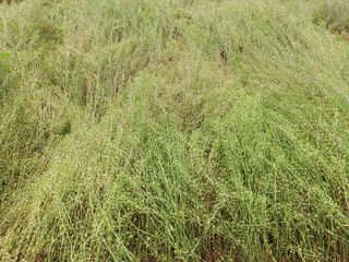 김명복님의 자유주제 · 자유게시판 작성글 사진