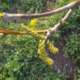 팜모닝 자유주제·자유게시판 게시글 이미지