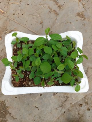 이은연님의 자유주제 · 자유게시판 작성글 사진