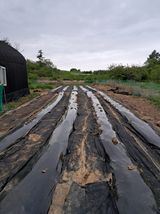 팜모닝 그곳에서 농사하게 된 계기는?·참여글 게시글 이미지